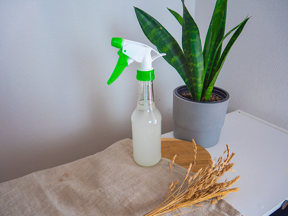 Comment nettoyer ses vitres ? La recette naturelle du spray anti-traces !